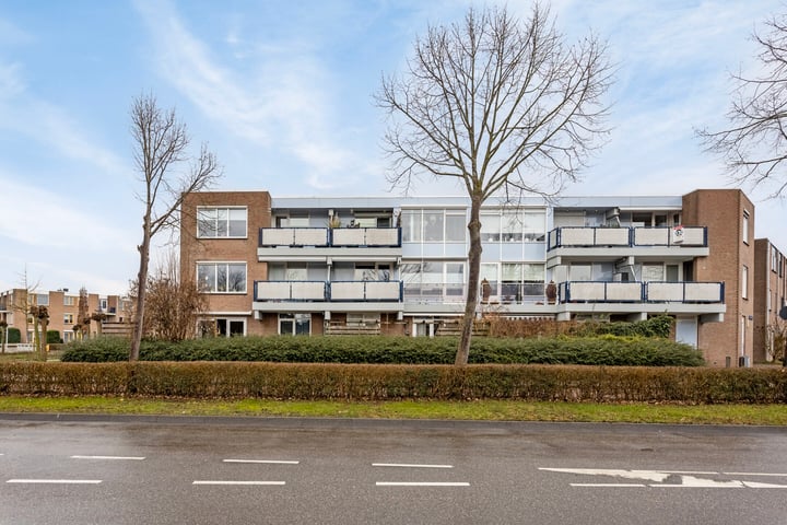 Goudplevier 21 in IJsselstein