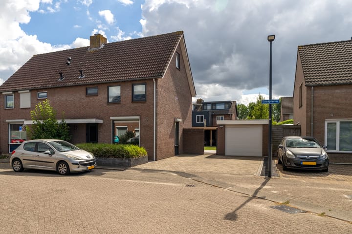 Goudplevier 38 dans Waspik photo