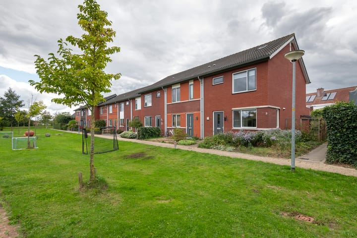 Goudreinette 19 in Buren