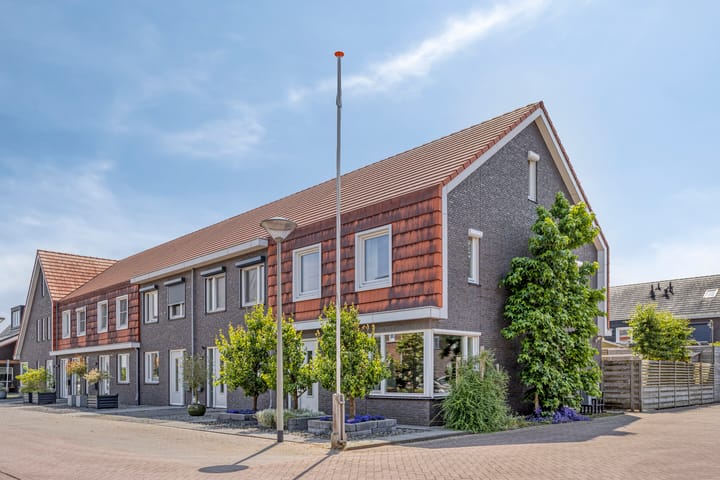 Goudreinette 4 in Lith