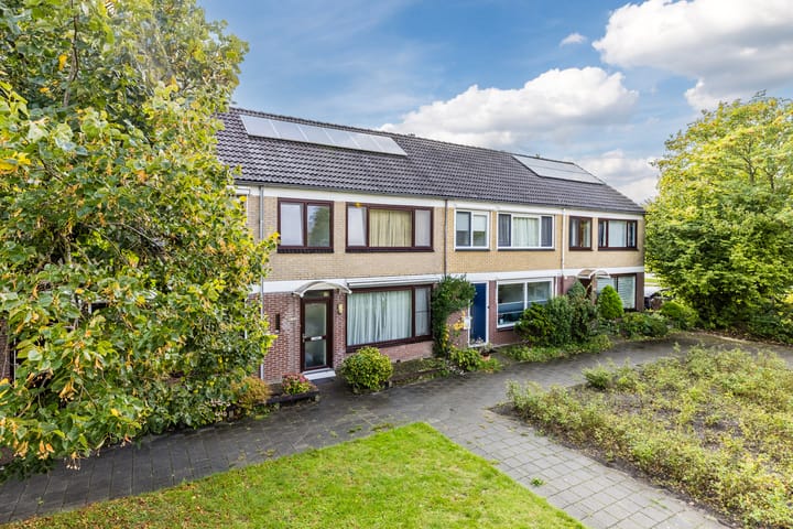 Graan voor Visch 19703 in Hoofddorp Foto
