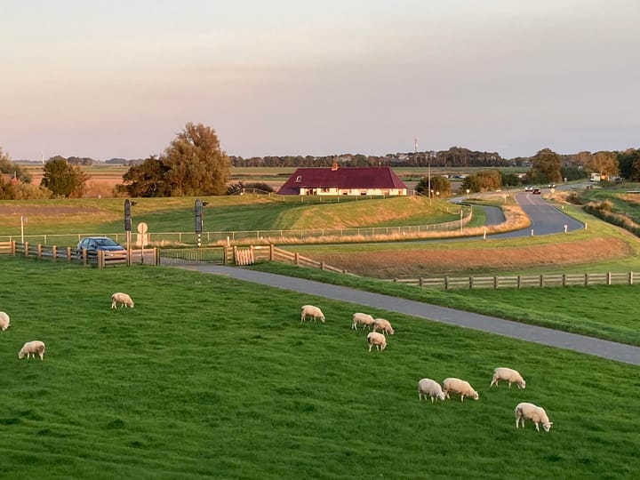 Foto von Haus Grândyk 9, Holwert