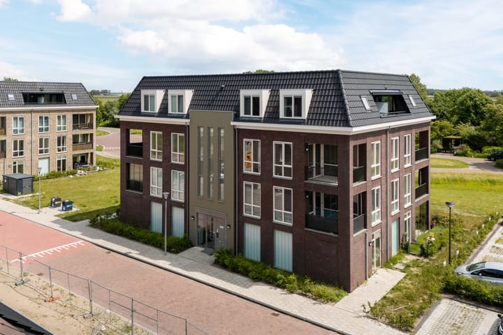 Grasland 16 in 't Zand
