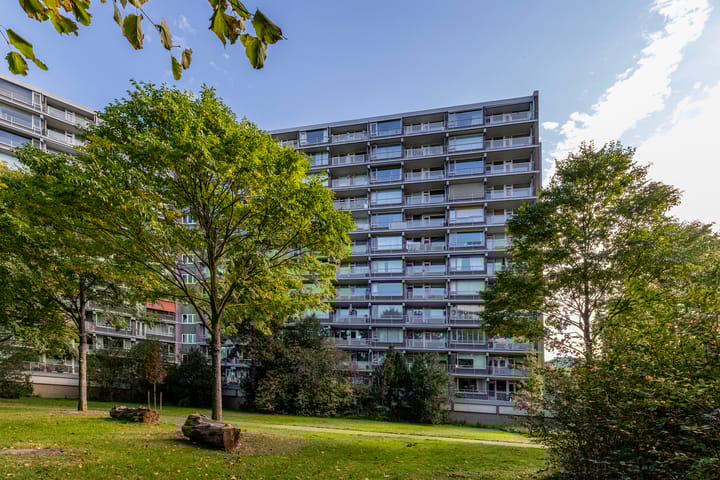 Griegplein 195 in Schiedam