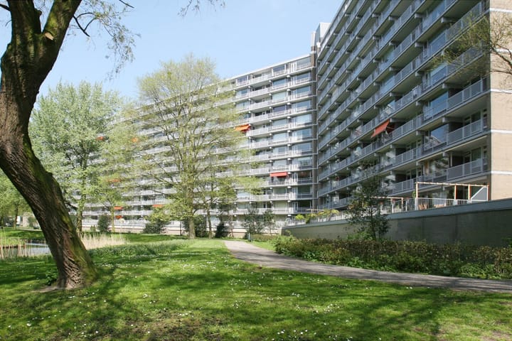 Griegplein 244 in Schiedam Foto