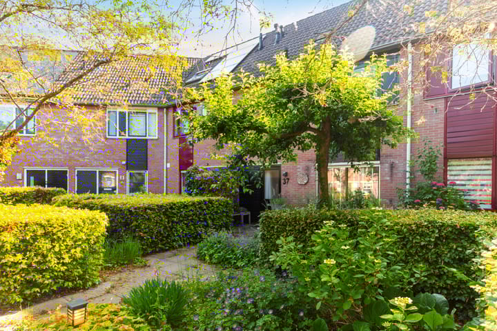 Griend 37 in Elst