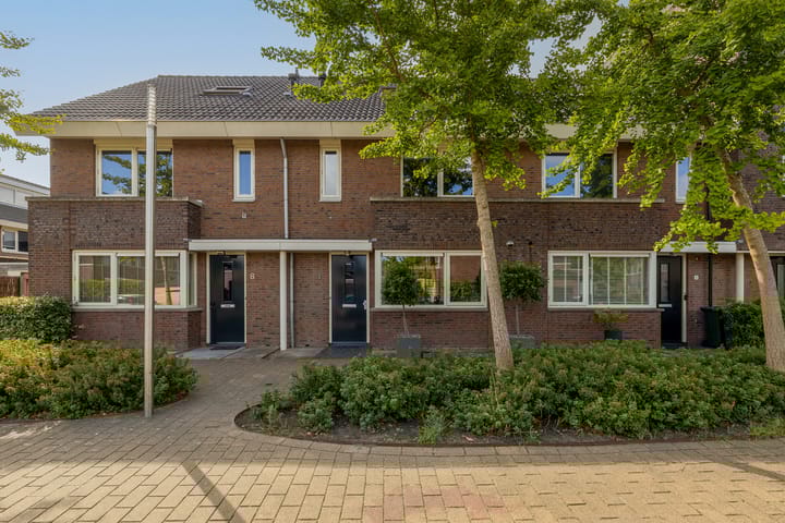 Grijze Walvis 6 in Naaldwijk