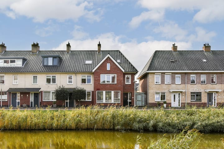 Groene Kikker 11 in Uithoorn foto