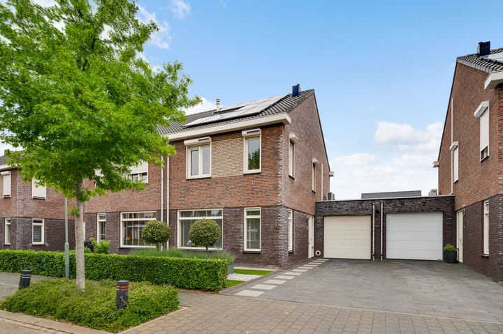 Groene Specht 6 in Eijsden