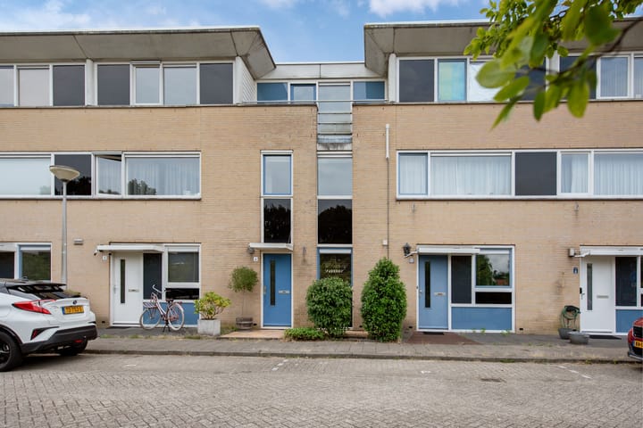 Groene Zoom 6 in Delft
