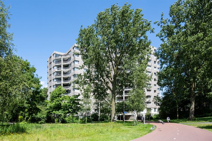 Groenhoven 210 in Amsterdam