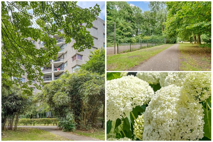 Photo of property Groenhoven 449, Amsterdam