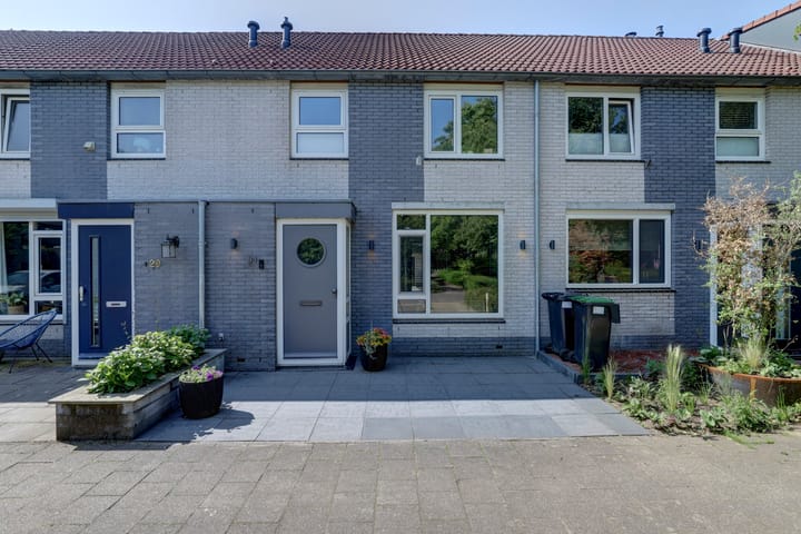 Groenling 31 in Ermelo Foto