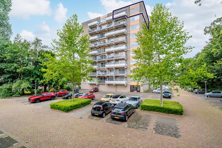 Grote Beer 221 in Amstelveen
