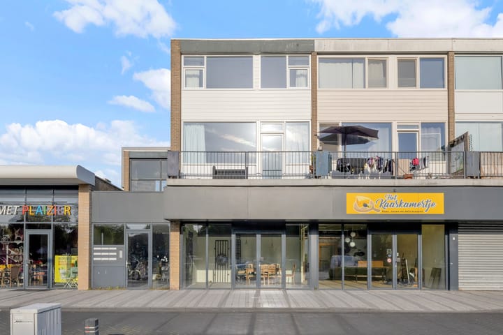 Grote Beer 9 in Hoogeveen foto