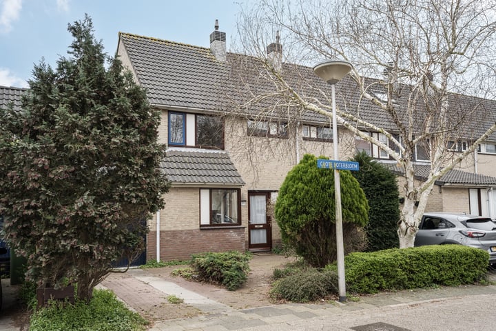 Photo of property Grote Boterbloem 91, Velserbroek