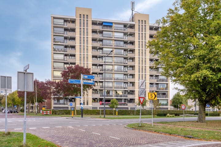 Grote Spie 175 in Breda