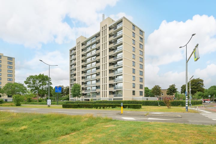 Grote Spie 245 in Breda