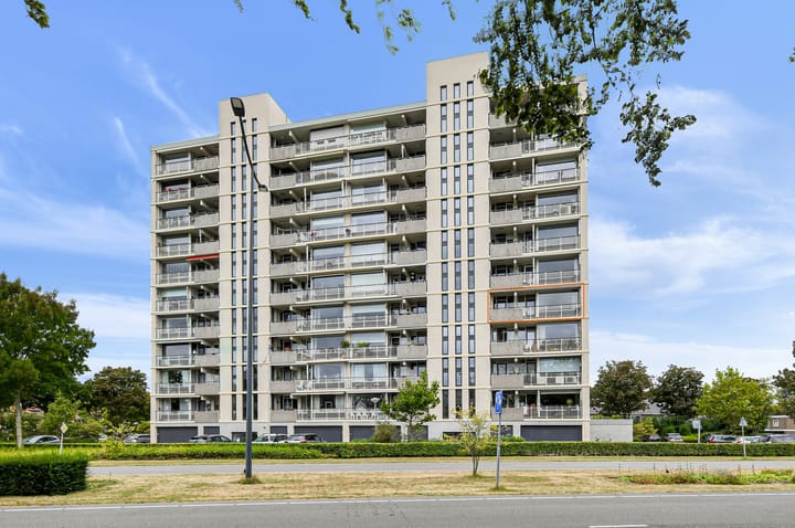Grote Spie 307 in Breda
