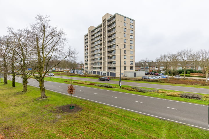 Grote Spie 363 in Breda