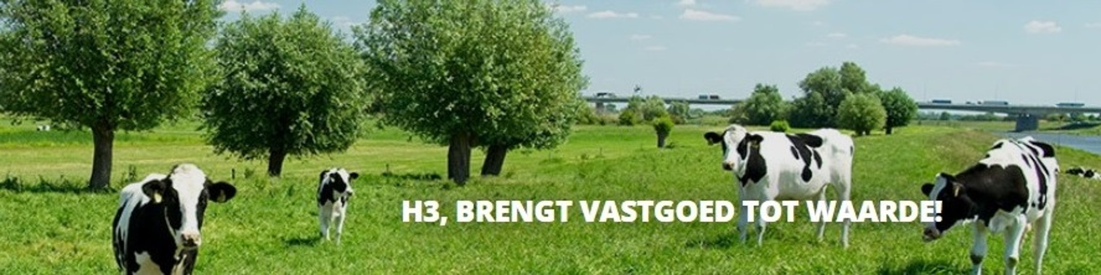 Kantoorfoto H3 Landelijk Vastgoed B.V.