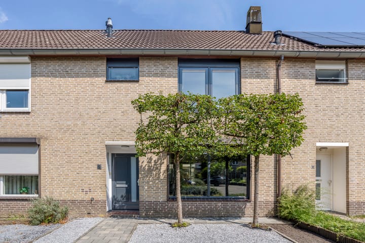 Haagbeuk 8 in Best