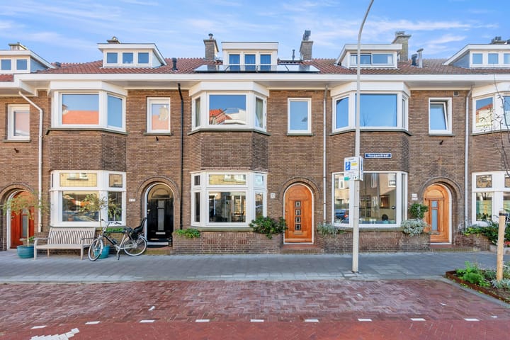 Haagsestraat 115 in 's-Gravenhage