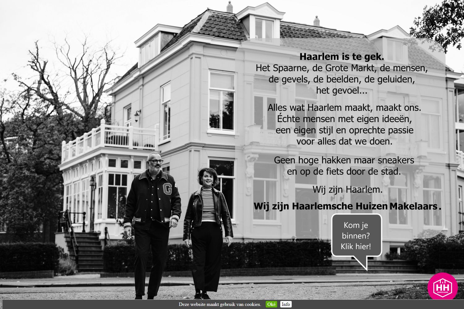 Screenshot van de website van www.haarlemschehuizen.nl