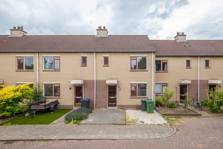 Hallsteinstraat 61 in Zevenaar