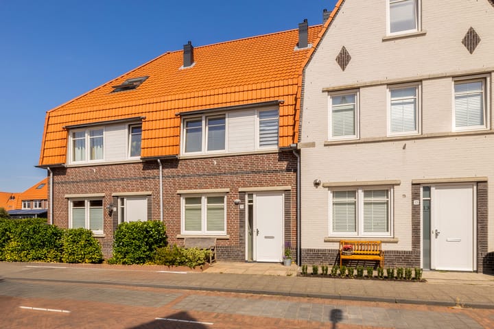 Hank 11 in Poeldijk foto