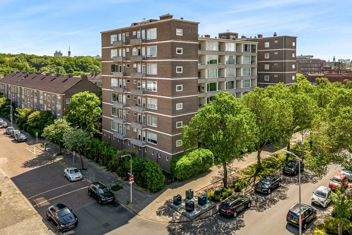 Hart Nibbrigkade 67-45 in 's-Gravenhage foto