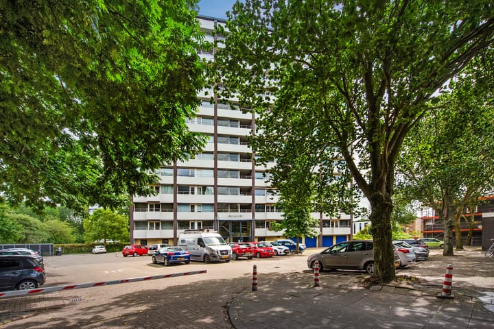 Haverkamp 52 in 's-Gravenhage