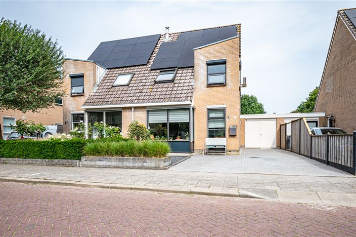 Havik 6 in Tollebeek