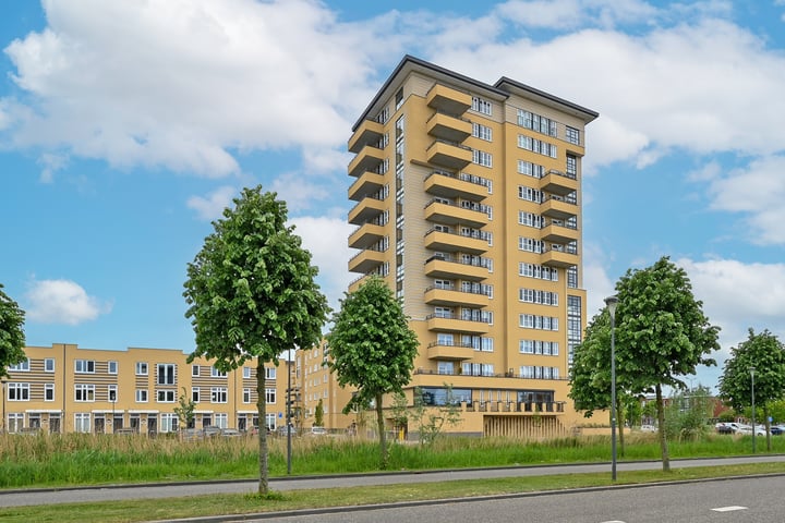 Heemraadstraat 42 in Rijswijk foto