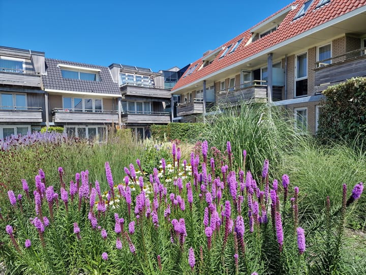 Heereweg 5-45 in Midsland