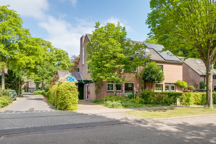 Heggerank 177 in Lochem