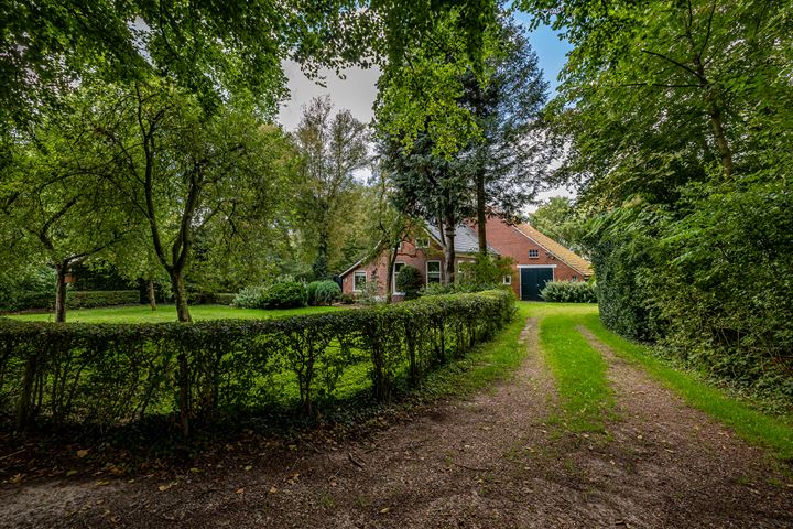 Heiveen 2 in Midlaren