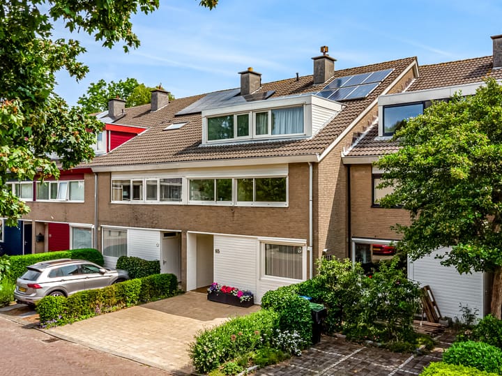 Heivlinder 65 in Leiden