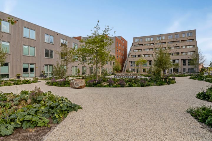 Helen Suzmanhof 14 in Rotterdam
