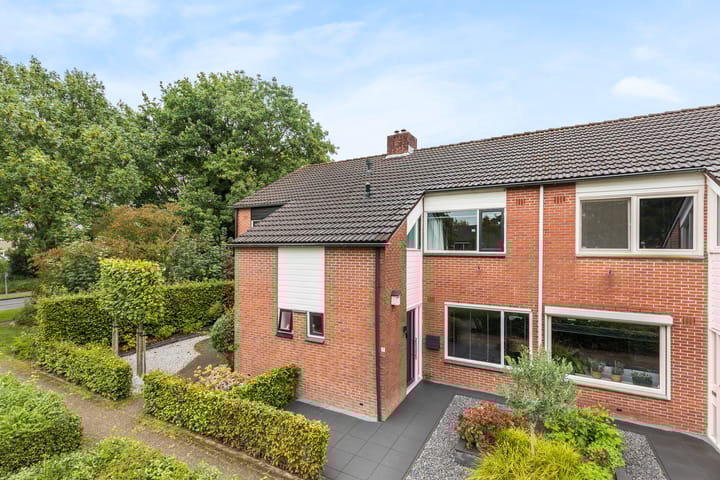 Helmkruid 7 in Oldenzaal Foto