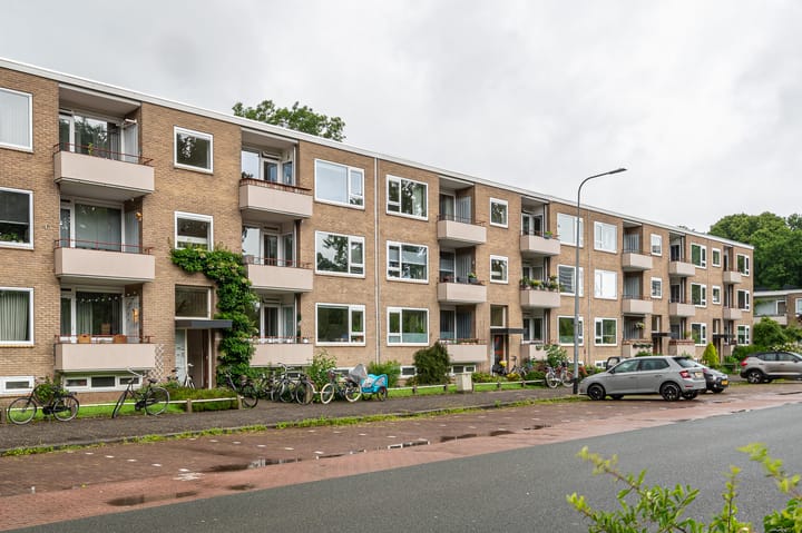 Helperzoom 129 in Groningen