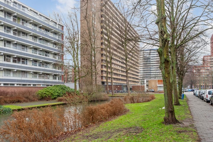 Hendrik Tollensstraat 262 in Delft