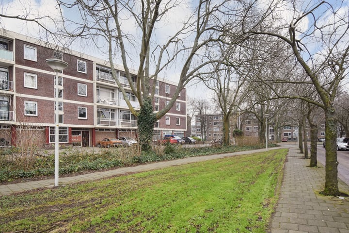 Hengelolaan 211B in 's-Gravenhage