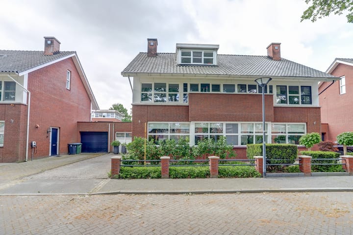 Hermelijnvlinder 31 in Oosterhout