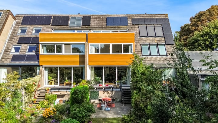 Hermelijnvlinder 62 in Leiden Foto