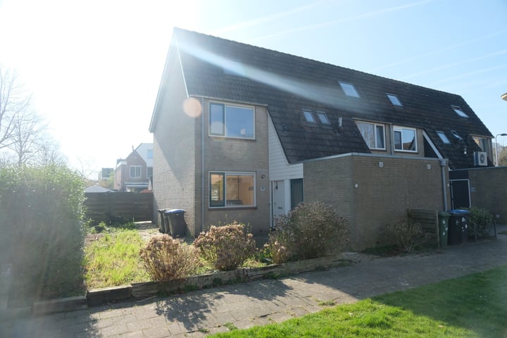 Hoefblad 3 in Culemborg foto