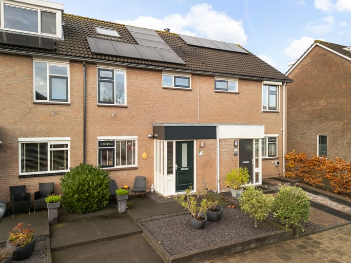 Hoefslag 4 in Kamerik foto