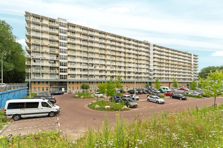 Hofgeest 11 in Amsterdam
