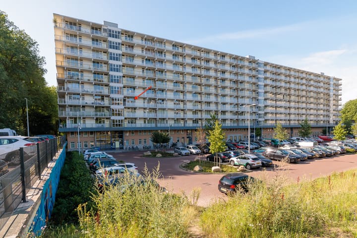 Hofgeest 14 in Amsterdam
