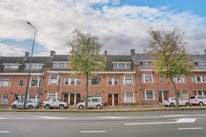 Hoge Rijndijk 103A in Leiden